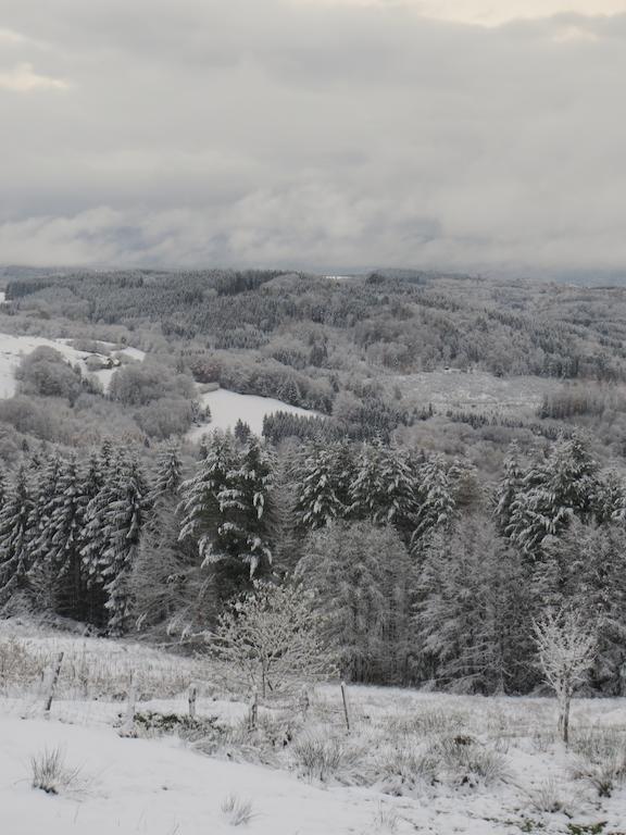 La Longine Les Grandes Fontaines Bed & Breakfast エクステリア 写真